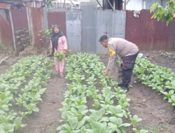 Bhabinkamtibmas Polsek Siantar Timur Sambangi Warga Dorong Dukung Ketahanan Pangan