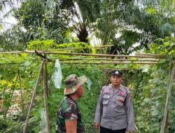 Optimalisasi Lahan Pekarangan: Polsek Medang Deras Dukung Ketahanan Pangan Lokal