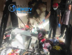 Si Jago Merah Lalap 2 (Dua) Rumah Kontrakan
