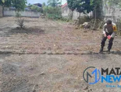 Bhabinkamtibmas Kelurahan Toba Dorong Petani Tingkatkan Ketahanan Pangan