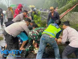 Pohon Tumbang di Jalur Berastagi-Medan Lumpuhkan Akses, Tim Gabungan Bergerak Cepat