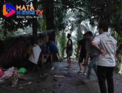 Gerebek Sarang Narkoba :  Bongkar Praktik Peredaran Gelap dan Penyalahgunaan Narkotika