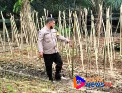 Bhabinkamtibmas Polsek Stabat Tinjau Lahan Pertanian di Langkat