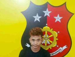 Pelaku Pembobolan Alfamidi di Aek Kanopan dibekuk Tim Unit Reskrim Polsek Kualuh Hulu