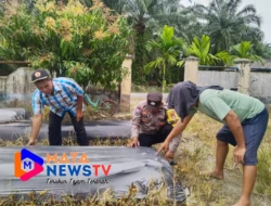 Dukung Ketahanan Pangan, Polsek Labuhan Ruku Ajak Warga Menanam Cabai Merah