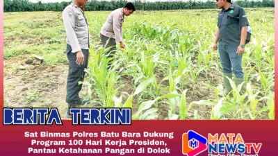Sat Binmas Polres Batu Bara Dukung Program 100 Hari Kerja Presiden, Pantau Ketahanan Pangan di Dolok Estate