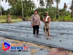 Polsek Medang Deras Dukung Ketahanan Pangan, Dampingi Petani Lokal