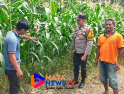 Polsek Indra Pura Dukung Ketahanan Pangan, Ajak Warga Manfaatkan Lahan Pekarangan