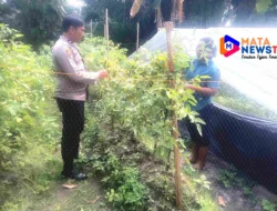 Polsek Indrapura Ajak Warga Desa Tanjung Kubah Manfaatkan Pekarangan Rumah untuk Ketahanan Pangan