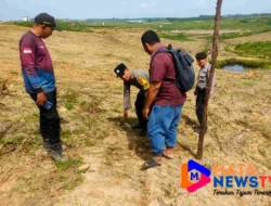 Kapolsek Pangkalan Brandan Tinjau Perkembangan Tanaman Jagung di PT. PISS, Dukung Ketahanan Pangan Nasional
