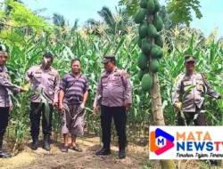 Polsek Labuhan Ruku Dukung Program Ketahanan Pangan Presiden dengan Pemanfaatan Lahan Pekarangan