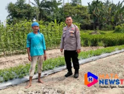 Polsek Medang Deras Dukung Program 100 Hari Kerja Presiden di Sektor Ketahanan Pangan