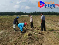 Polres Batu Bara Cek Lahan Jagung untuk Dukung Ketahanan Pangan