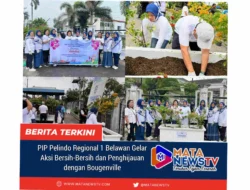 PIP Pelindo Regional 1 Belawan Gelar Aksi Bersih-Bersih dan Penghijauan dengan Bougenville