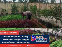 Polsek Indrapura Manfaatkan Lahan Kosong untuk Dukung Ketahanan Pangan