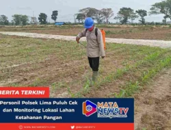 Polsek Lima Puluh Intensif Monitoring Lahan Ketahanan Pangan di Batubara