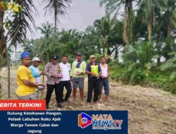 Dukung Ketahanan Pangan, Polsek Labuhan Ruku Ajak Warga Manfaatkan Lahan untuk Bertani
