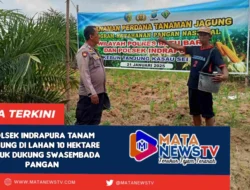 Polsek Indrapura Tanam Jagung di Lahan 10 Hektare untuk Dukung Swasembada Pangan