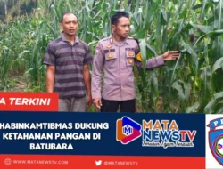 Bhabinkamtibmas Polsek Labuhan Ruku Dukung Program Ketahanan Pangan Presiden RI