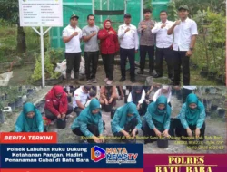 Polsek Labuhan Ruku Dukung Ketahanan Pangan, Hadiri Penanaman Cabai di Batu Bara