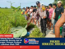 Tukang Becak Tewas Tertabrak Kereta Api di Sergai, Polsek Firdaus Lakukan Olah TKP