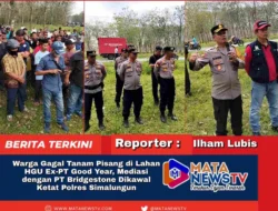 Warga Gagal Tanam Pisang di Lahan HGU Ex-PT Good Year, Mediasi dengan PT Bridgestone Dikawal Ketat Polres Simalungun
