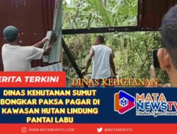 Dinas Kehutanan Sumut Bongkar Paksa Pagar di Kawasan Hutan Lindung Pantai Labu