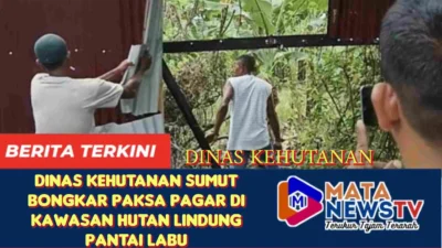 Dinas Kehutanan Sumut Bongkar Paksa Pagar di Kawasan Hutan Lindung Pantai Labu