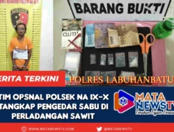 Tim Opsnal Polsek Na IX-X Tangkap Pengedar Sabu di Perladangan Sawit