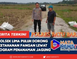 Polsek Lima Puluh Dorong Ketahanan Pangan Lewat Program Penanaman Jagung