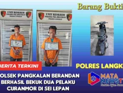 Polsek Pangkalan Berandan Berhasil Bekuk Dua Pelaku Curanmor di Sei Lepan