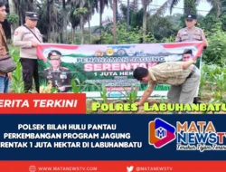 Polsek Bilah Hulu Pantau Perkembangan Program Jagung Serentak 1 Juta Hektar di Labuhanbatu