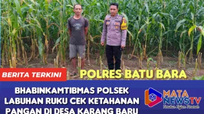 Bhabinkamtibmas Polsek Labuhan Ruku Cek Ketahanan Pangan di Desa Karang Baru