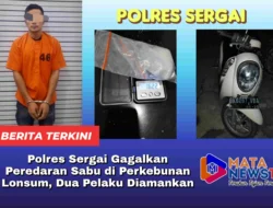 Polres Sergai Gagalkan Peredaran Sabu di Perkebunan Lonsum, Dua Pelaku Diamankan