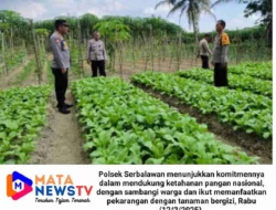 Gencarkan Program Ketahanan Pangan dengan Optimalisasi Lahan dan jadikan Pekarangan Bergizi
