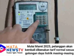 Diskon Tarif Listrik 50% Berakhir Februari 2025, Maret Kembali ke Tarif Normal