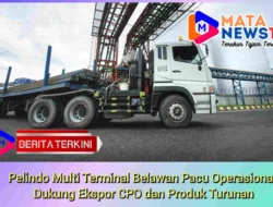 Pelindo Multi Terminal Belawan Pacu Operasional, Dukung Ekspor CPO dan Produk Turunan