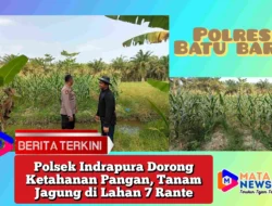 Polsek Indrapura Dorong Ketahanan Pangan, Tanam Jagung di Lahan 7 Rante