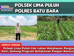 Polsek Lima Puluh Cek Lahan Ketahanan Pangan Polri, Dukung Program Ketahanan Pangan Nasional