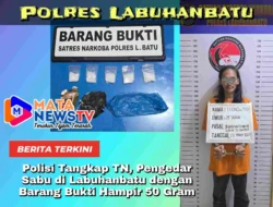 Polisi Tangkap TN, Pengedar Sabu di Labuhanbatu dengan Barang Bukti Hampir 50 Gram