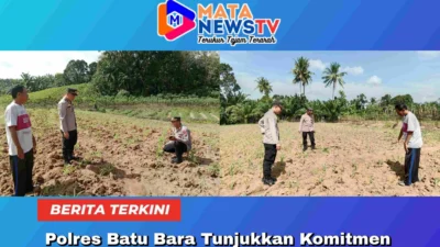 Polres Batu Bara Tunjukkan Komitmen Dukung Ketahanan Pangan, Cek Perkembangan Tanaman Jagung