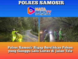 Polres Samosir Sigap Bersihkan Pohon yang Ganggu Lalu Lintas di Jalan Tele