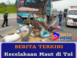 Kecelakaan Maut di Tol Pekanbaru-Dumai: Sopir Bus Kabur, Satu Orang Tewas