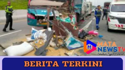 Kecelakaan Maut di Tol Pekanbaru-Dumai: Sopir Bus Kabur, Satu Orang Tewas