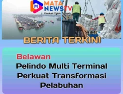 Pelindo Multi Terminal Perkuat Transformasi Pelabuhan, Produktivitas Bongkar Muat Melonjak