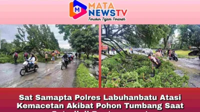 Sat Samapta Polres Labuhanbatu Atasi Kemacetan Akibat Pohon Tumbang Saat Patroli di Rantauprapat