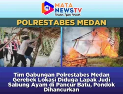 Tim Gabungan Polrestabes Medan Gerebek Lokasi Diduga Lapak Judi Sabung Ayam di Pancur Batu, Pondok Dihancurkan