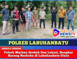 Polsek Marbau Grebek Dua Lokasi, Bongkar Sarang Narkoba di Labuhanbatu Utara