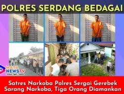 Satres Narkoba Polres Sergai Gerebek Sarang Narkoba, Tiga Orang Diamankan