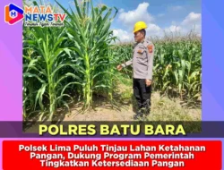 Polsek Lima Puluh Tinjau Lahan Ketahanan Pangan, Dukung Program Pemerintah Tingkatkan Ketersediaan Pangan
